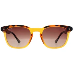 Polar Sunglasses 362 COL.431 Shiny Crystal Honey Havana Brown Polarize
