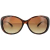 Polaroid Sunglasses P8317 0BM LA Havana Brown Gradient Polarized