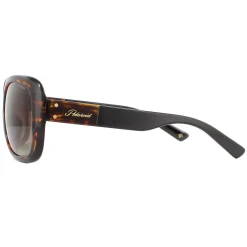 Polaroid Sunglasses PLD 4069/G/S/X 086 LA Havana Brown Gradient Polari