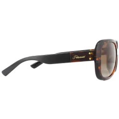 Polaroid Sunglasses PLD 4069/G/S/X 086 LA Havana Brown Gradient Polari