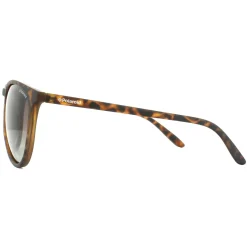 Polaroid Sunglasses PLD 6003/N/S V08 LA Havana Brown Gradient Polarize