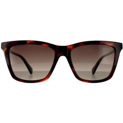 Polaroid Sunglasses PLD 4081/S 086 LA Havana Brown Gradient Polarized