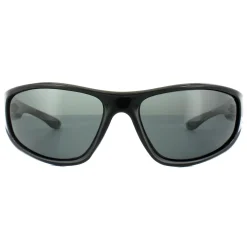 Polaroid Sunglasses PLD 3017/S D28 Y2 Shiny Black Grey Polarized