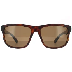 Polaroid Sunglasses PLD 2123/S PHW SP Havana Green Brown Polarized