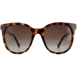 Polaroid Sunglasses PLD 4062/S/X 086 LA Dark Havana Brown Polarized