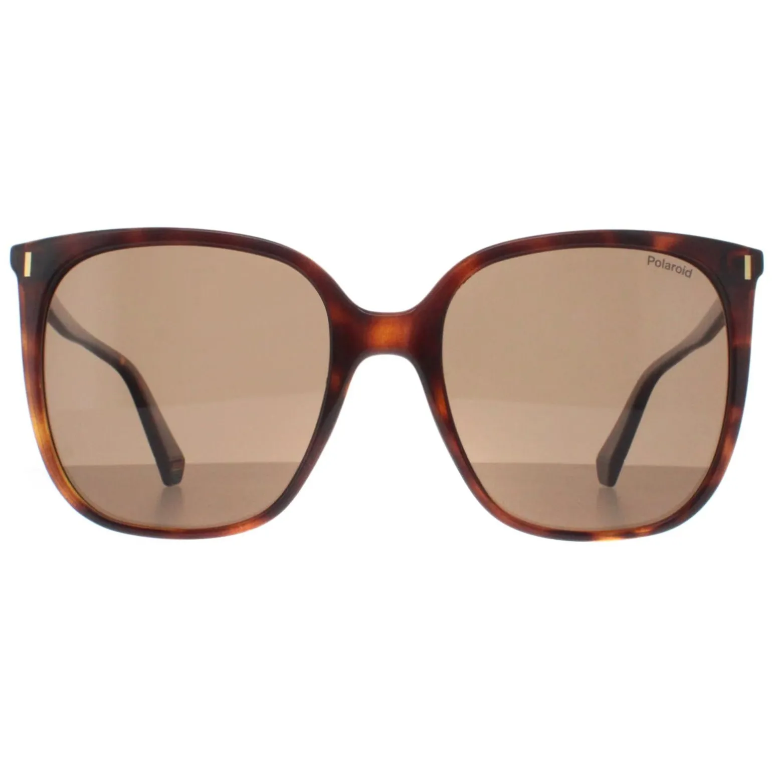 Polaroid Sunglasses PLD 6218/S 086 SP Havana Bronze Polarized