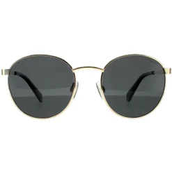 Polaroid Sunglasses PLD 2053/S 2F7 M9 Gold Grey Grey Polarized
