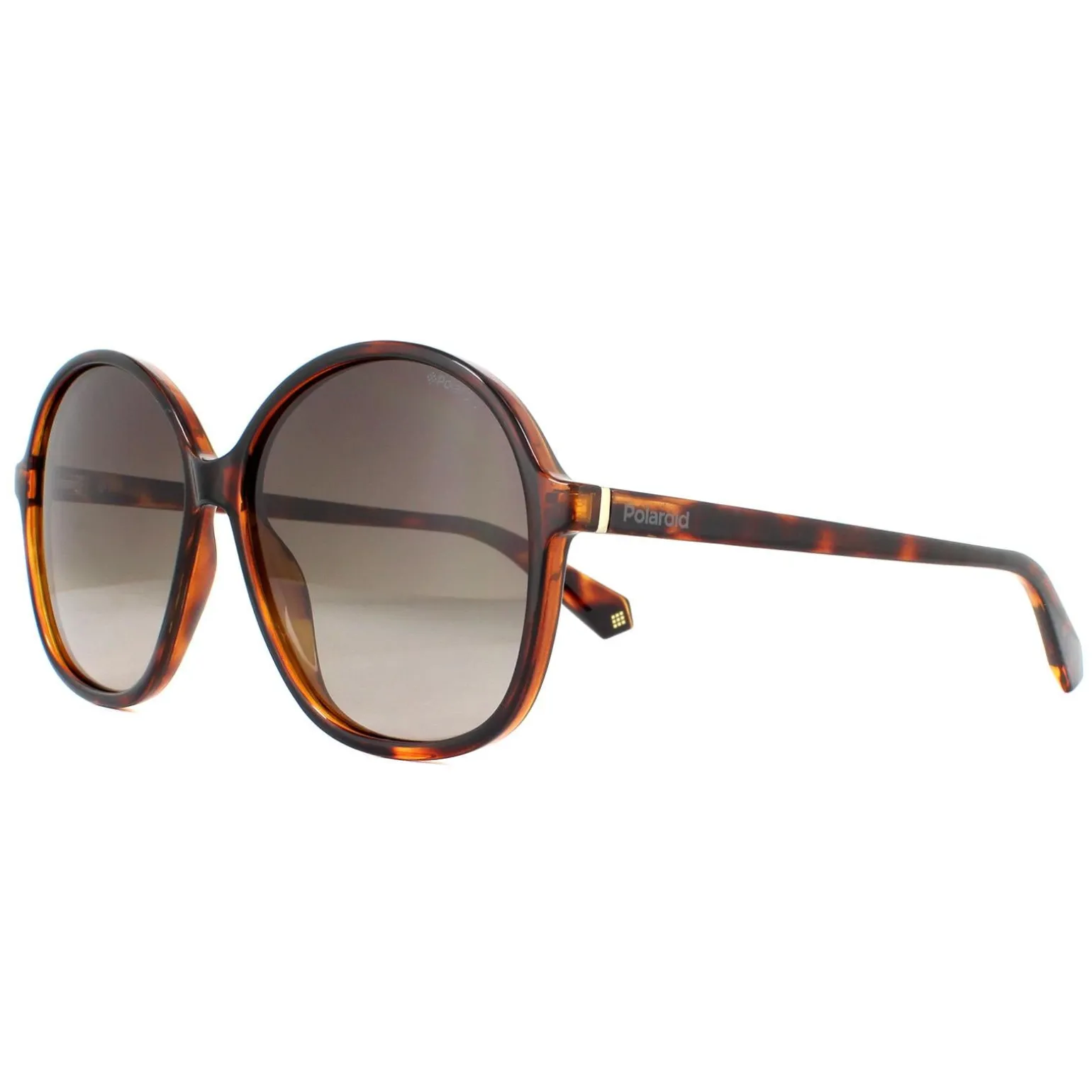Polaroid Sunglasses PLD 6095/S 086 LA Havana Brown Gradient Polarized