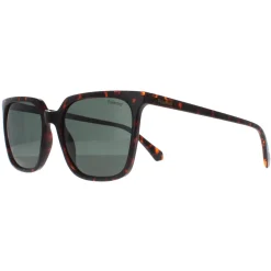 Polaroid Sunglasses PLD 4163/S 086 UC Havana Green Polarized