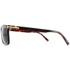 Polaroid Sunglasses PLD 2075/S/X 086 UC Dark Havana Green Polarized