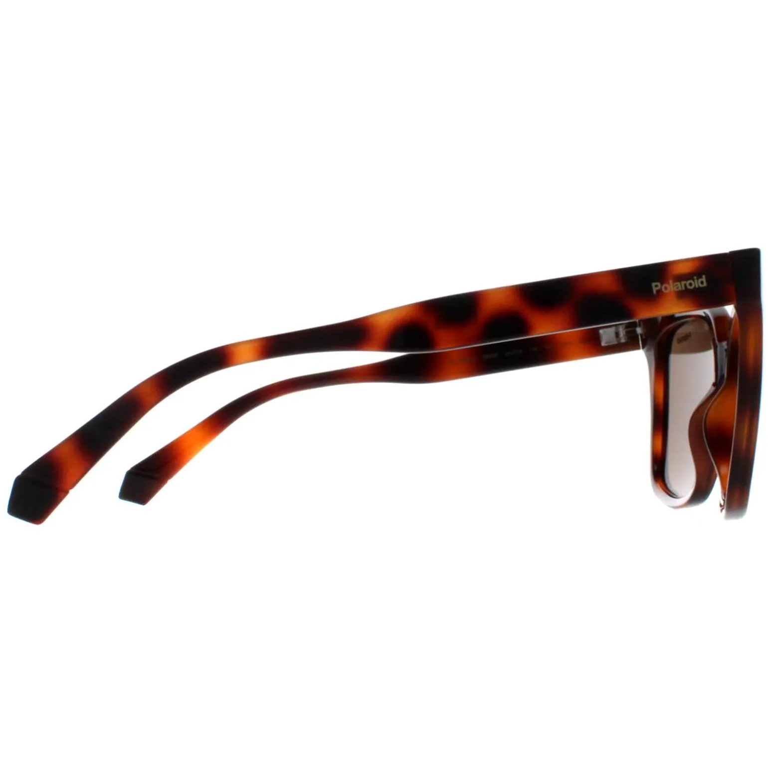 Polaroid Sunglasses PLD 6192/S 086 SP Havana Bronze Polarized