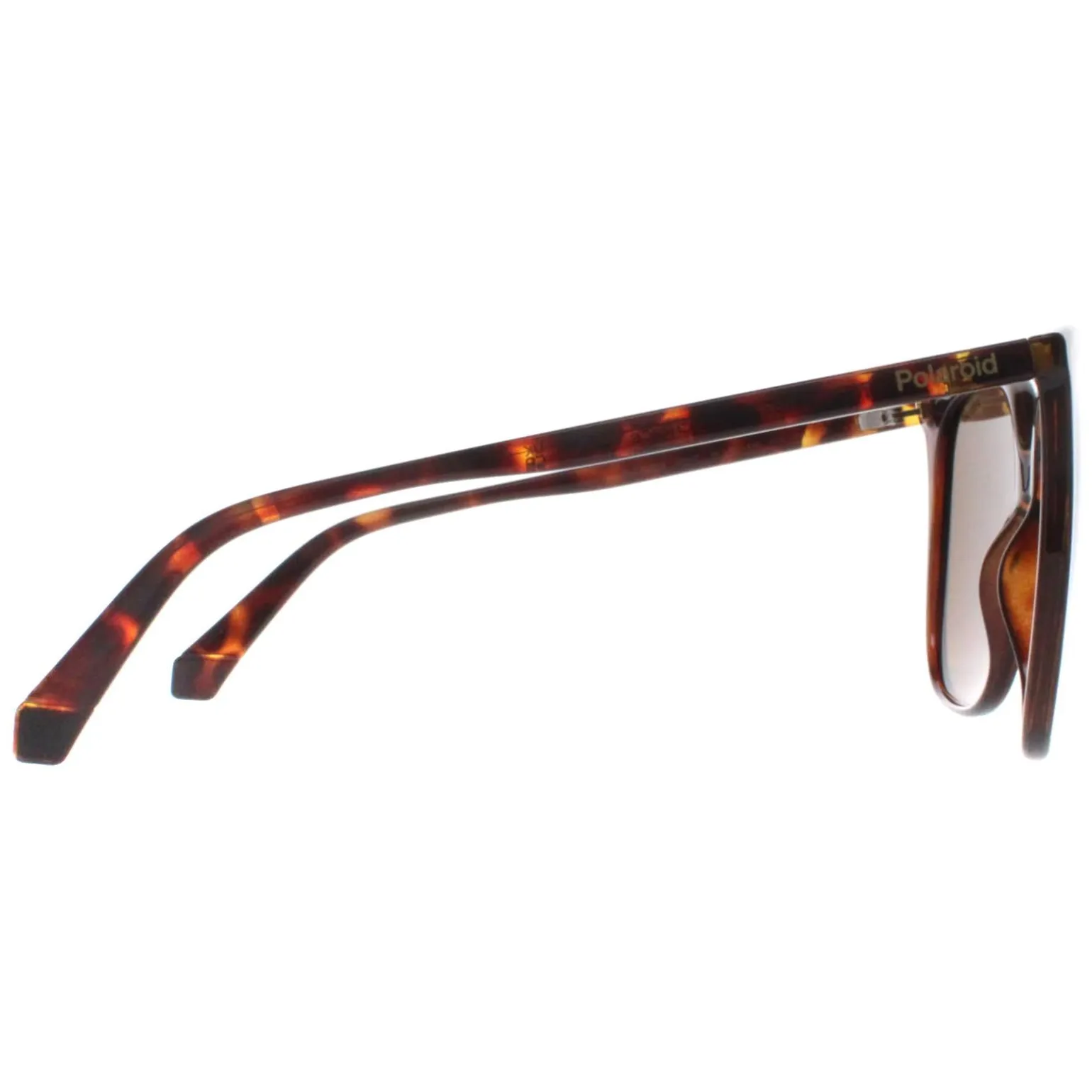 Polaroid Sunglasses PLD 6218/S 086 SP Havana Bronze Polarized