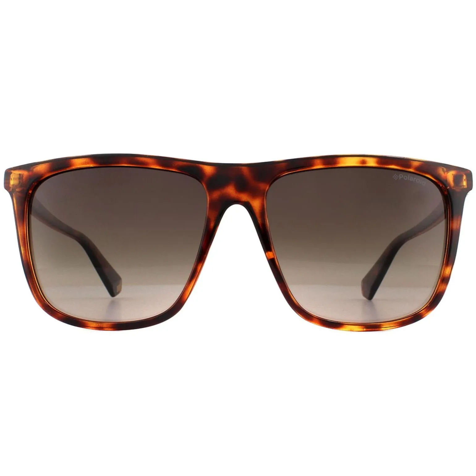 Polaroid Sunglasses 6099/S 086 LA Dark Havana Brown Gradient Polarized