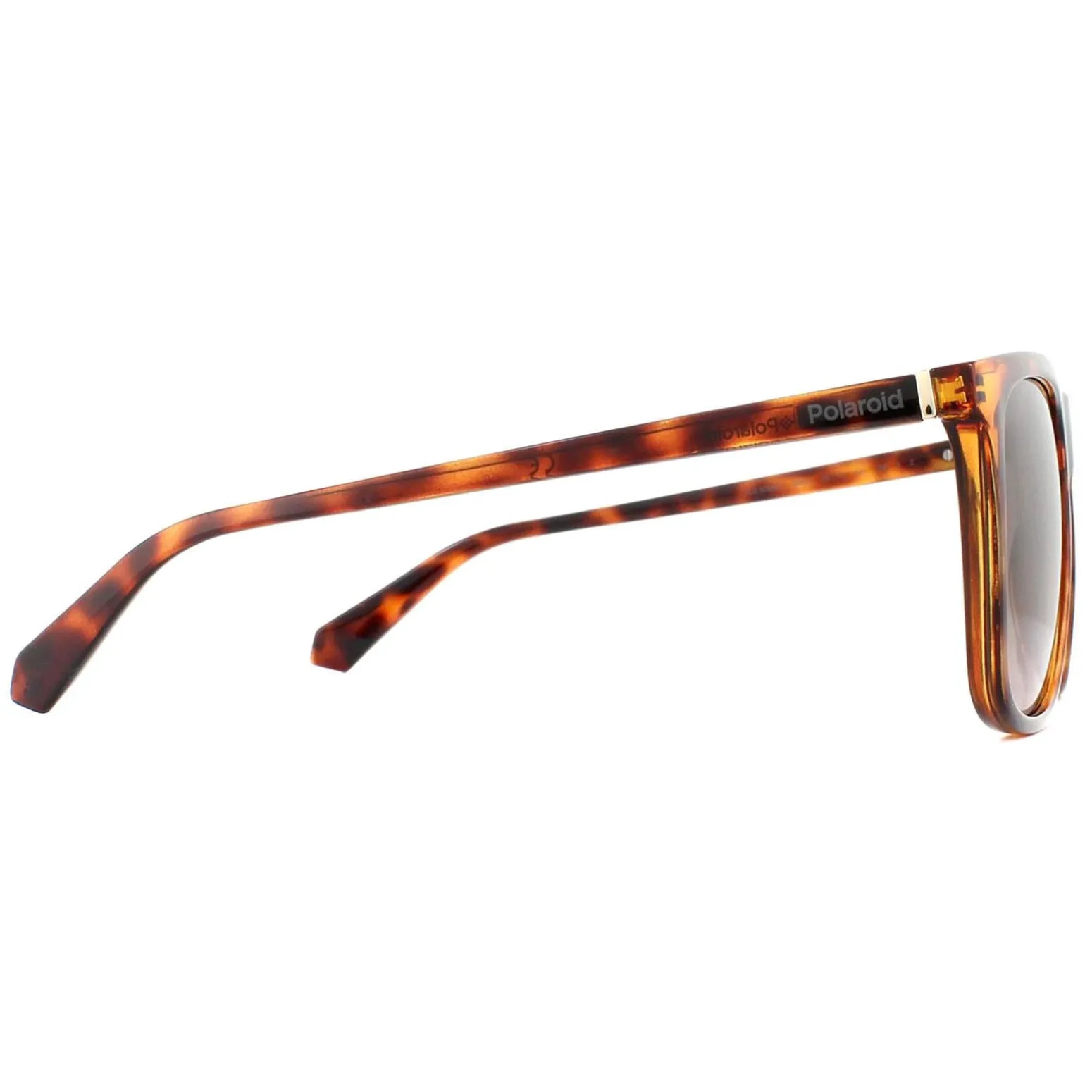Polaroid Sunglasses 6099/S 086 LA Dark Havana Brown Gradient Polarized