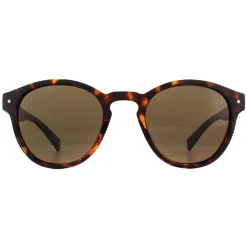 Polaroid Sunglasses 6042/S 086 SP Dark Havana Bronze Polarized