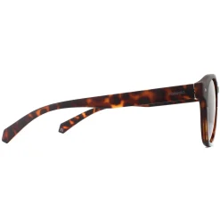 Polaroid Sunglasses 6042/S 086 SP Dark Havana Bronze Polarized