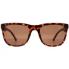 Police Sunglasses SPL357 Blackbird Light 2 878P Matte Dark Havana Brow