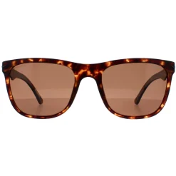 Police Sunglasses SPL357 Blackbird Light 2 878P Matte Dark Havana Brow