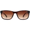 Police Sunglasses SPLB40N Arcade 2 0722 Shiny Dark Havana Brown Gradie