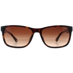 Police Sunglasses SPLB40N Arcade 2 0722 Shiny Dark Havana Brown Gradie