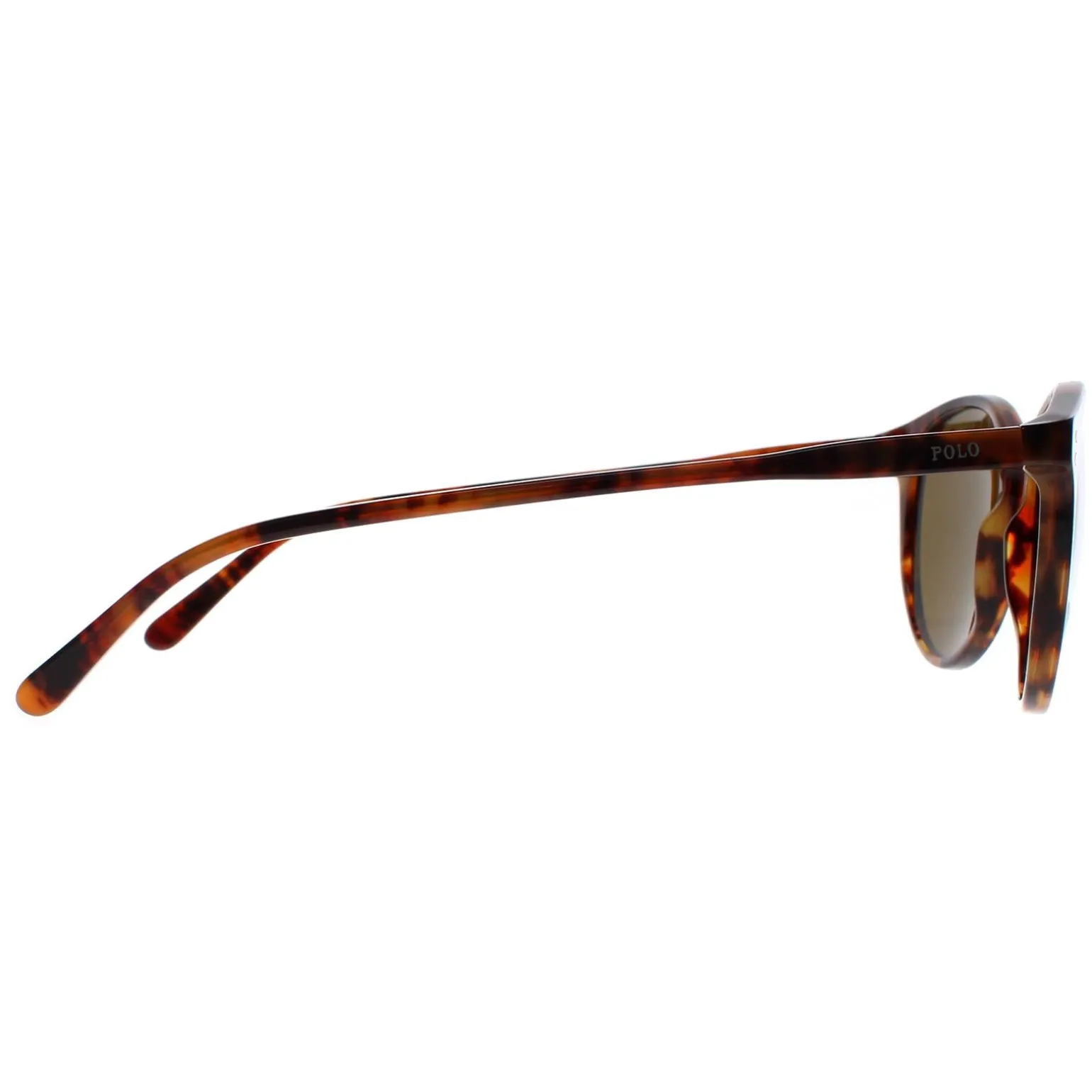 Polo Ralph Lauren Sunglasses 4110 501773 Havana Brown