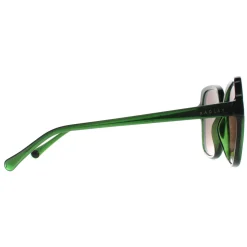 Radley Sunglasses Phoenix 6505 107PA Transparent Dark Green Brown