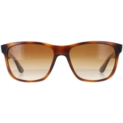 Ray-Ban Sunglasses 4181 710/51 Light Havana Brown Gradient