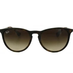 Rayban Sunglasses Erika 4171 Rubberised Havana Brown Gradient 865/13