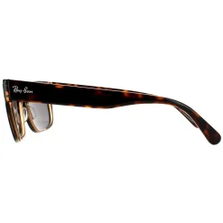 Ray-Ban Sunglasses Jeffrey RB2190 1292B1 Havana On Transparent Brown D