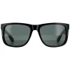 Ray-Ban Sunglasses Justin 4165 601/71 Shiny Black Green