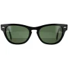 Ray-Ban Sunglasses Laramie RB2201 901/31 Black Green 54mm