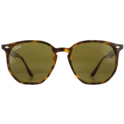 Ray-Ban Sunglasses RB4306 710/73 Havana Brown B-15