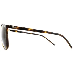 Ray-Ban Sunglasses RB4387 710/73 Tortoiseshell Brown