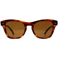 Ray-Ban Sunglasses RB0707S 954/33 Striped Havana Brown