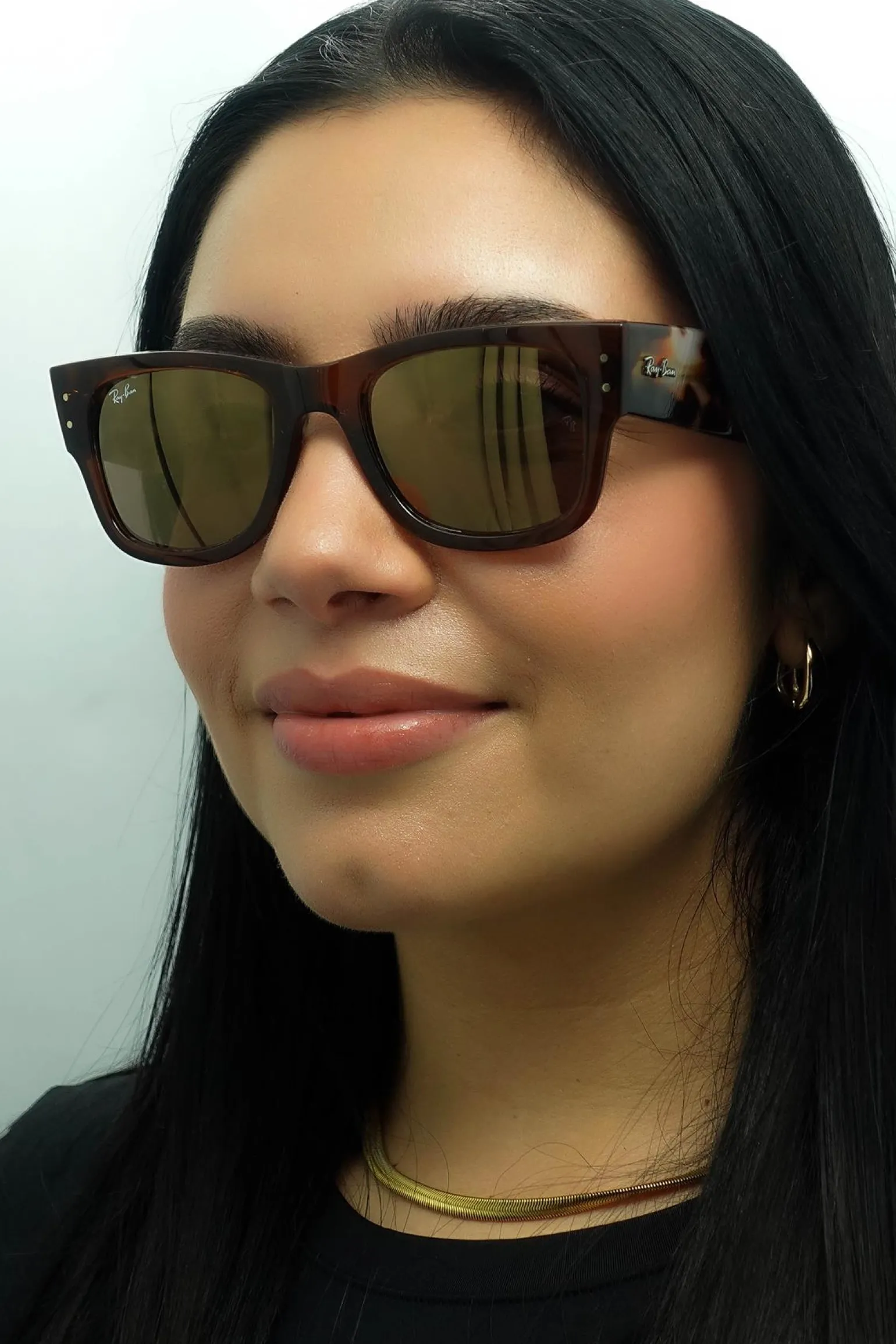 Ray-Ban Sunglasses RB0840S Mega Wayfarer 663693 Transparent Brown and