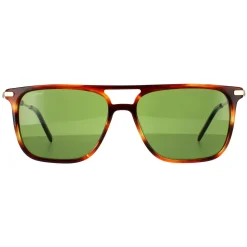 Salvatore Ferragamo Sunglasses SF966S 216 Striped Brown Solid Green