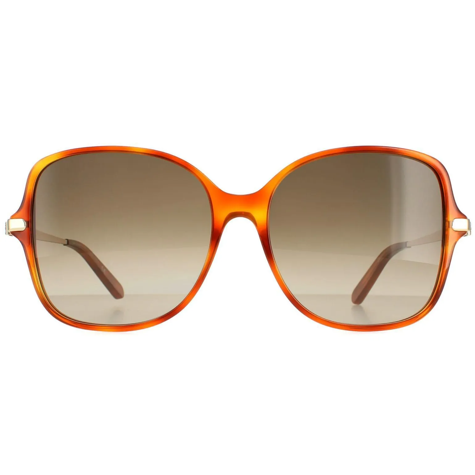 Salvatore Ferragamo Sunglasses SF990SR 214 Tortoise Grey Gradient