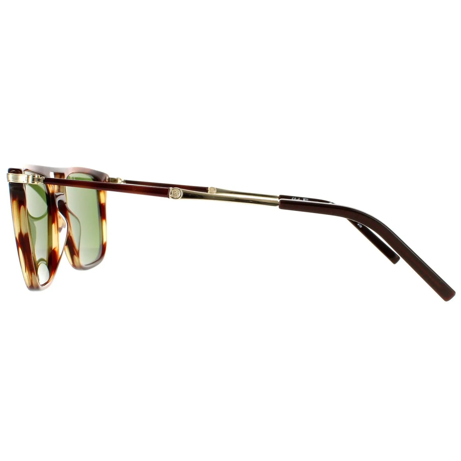 Salvatore Ferragamo Sunglasses SF966S 216 Striped Brown Solid Green