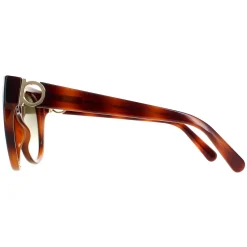 Salvatore Ferragamo Sunglasses SF1031S 214 Tortoise Green