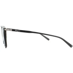 Salvatore Ferragamo Sunglasses SF910S 001 Black Brown
