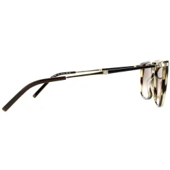 Salvatore Ferragamo Sunglasses SF966S 319 Striped Khaki Brown Gradient