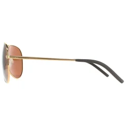 Serengeti Sunglasses Carrara 8546 Shiny Gold Gold Drivers Mineral Pola