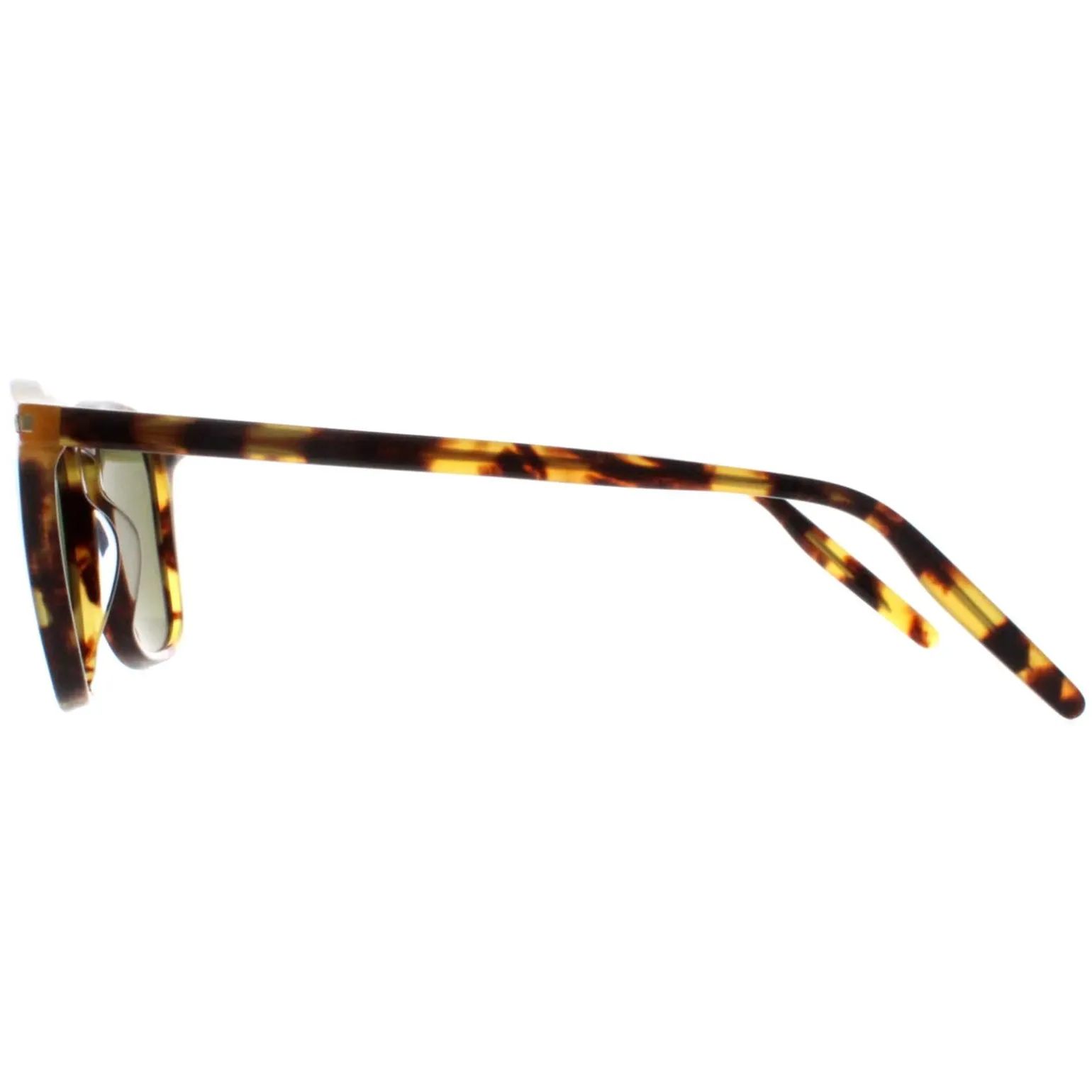Serengeti Sunglasses Delio SS021004 Shiny Classic Havana Mineral Polar