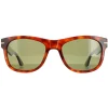 Serengeti Sunglasses Foyt Large SS550001 Shiny Classic Havana Polarize