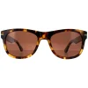 Serengeti Sunglasses Foyt Large SS550002 Shiny Tortoise Havana Mineral