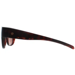 Smarty Sunglasses SA220 0A Brown Tortoise Brown