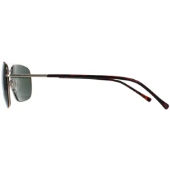 Smarty Sunglasses SB1302 A Gold Green