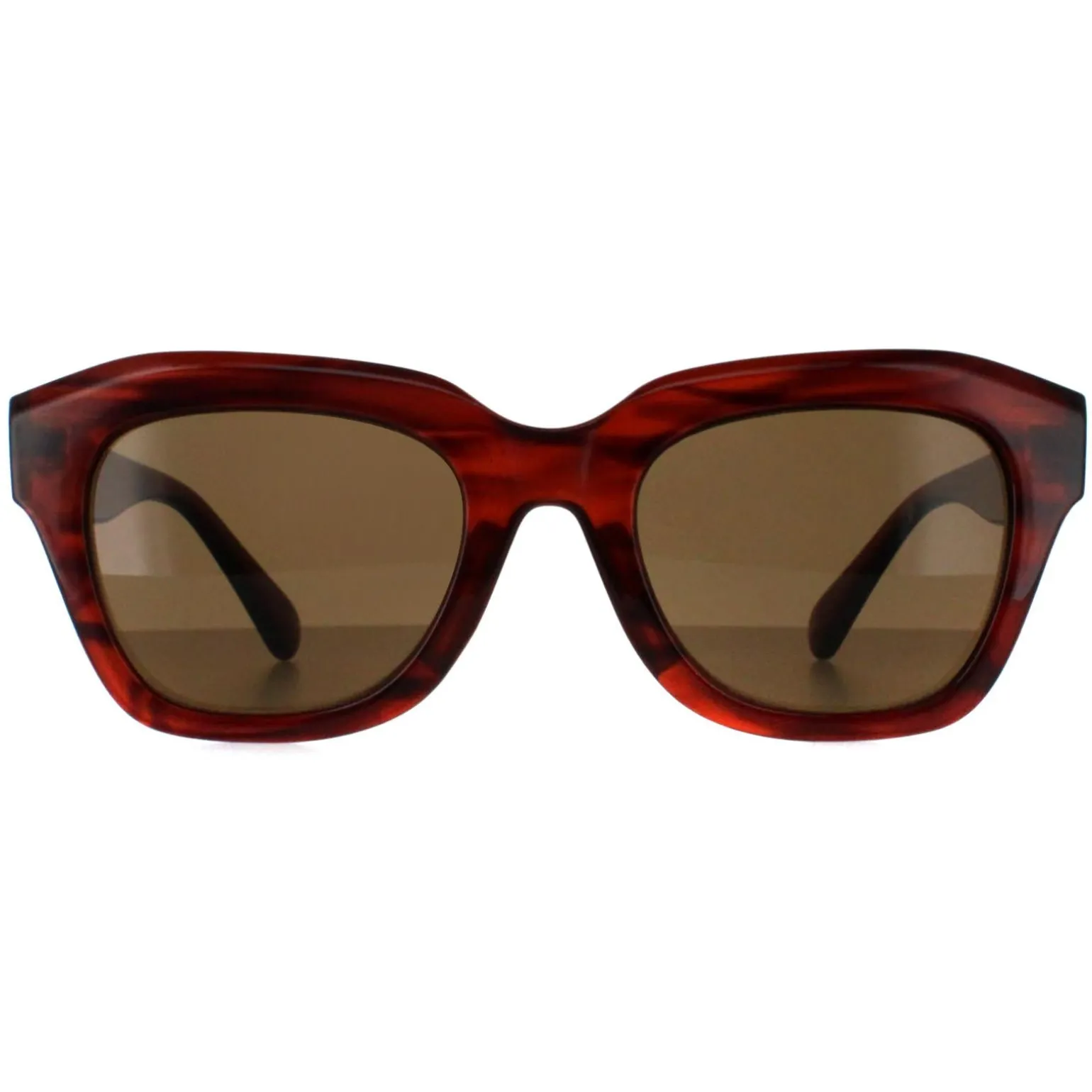 Smarty Sunglasses SB2311 B Demi Transparent Brown Brown