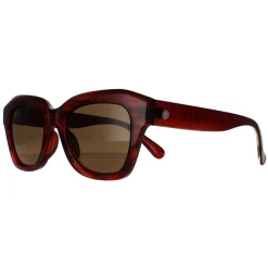 Smarty Sunglasses SB2311 B Demi Transparent Brown Brown