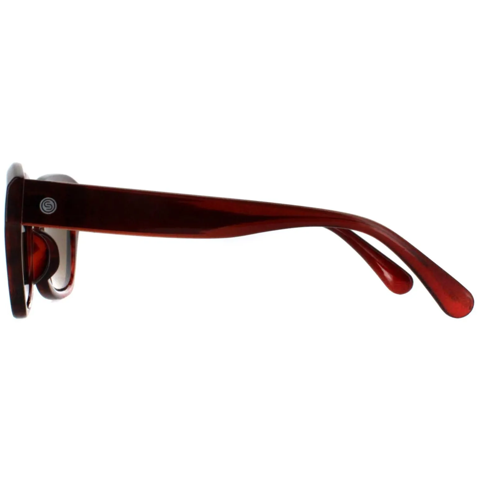 Smarty Sunglasses SB2311 B Demi Transparent Brown Brown